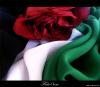 الصورة الرمزية غرنجية الطرف