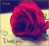 الصورة الرمزية moono