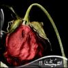 الصورة الرمزية أهازيج